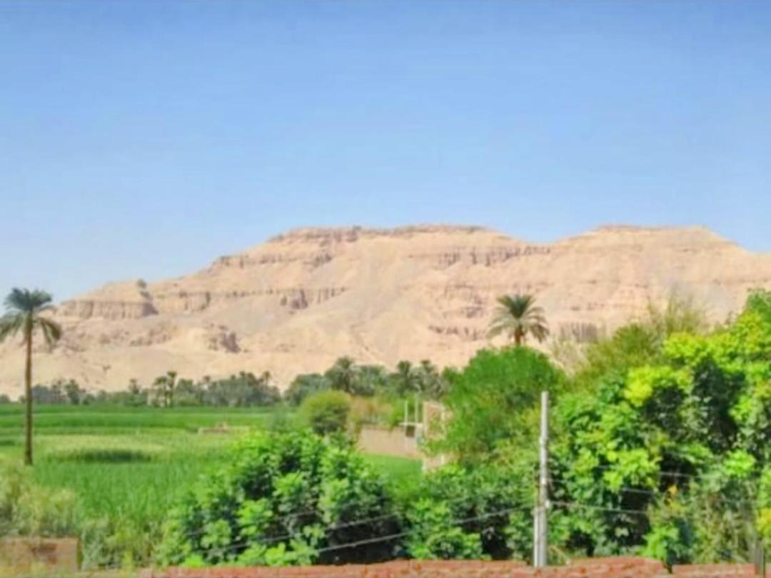 Luxor Villa Hatshepsut Extérieur photo